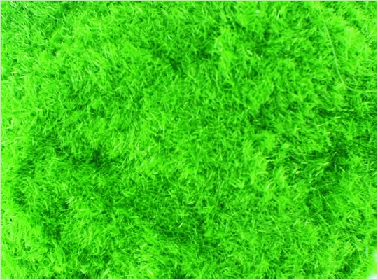 China 8 # 1 mm Custom Model Train Layouts Materialien Nylon Lt Green Gras Pulver fournisseur