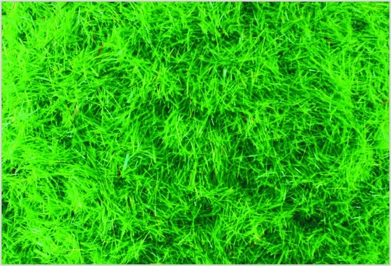 China A-1 2,5 mm Custom Scale Model Zug Layouts Supplies Nylon Med.Green Gras essen fournisseur
