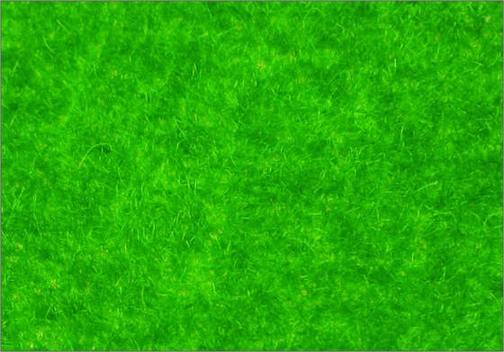 China R145 1 * 2,5 m Zug-Layouts-Modellbau benutzerdefinierte Materialien Viskose Rasen Gras fournisseur
