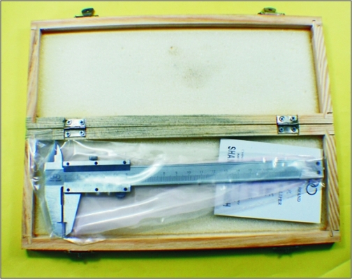 China MA06-114 Miniatur-Modellierungstools für Vernier Scale Modellbau Saliper fournisseur