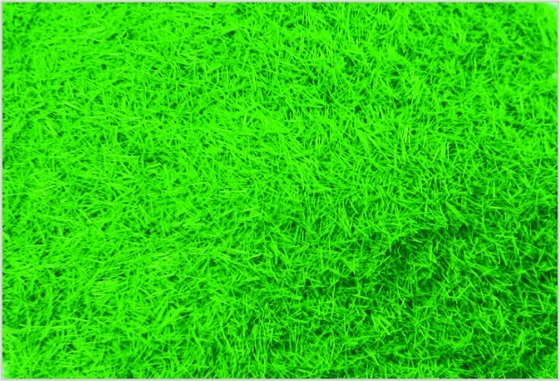 China C013 Custom Model Train Layouts Supplies tiefgrünen Nylon Rasen Gras fournisseur