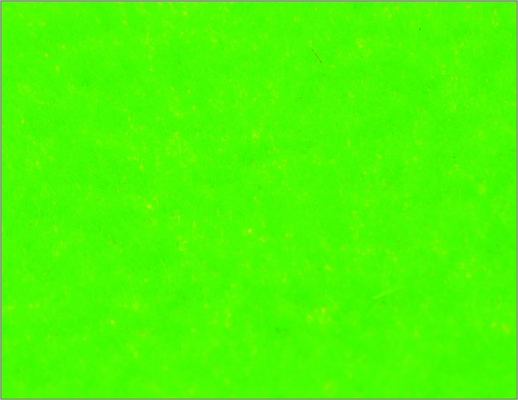 China N102 1 * 2,5 m Zug-Layouts-Modellbau Custom Material Nylon Rasen Gras fournisseur