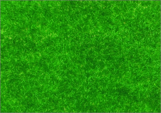 China R146 1 * 2,5 m architektonischen Scale Modellbau Materialien Viskose Rasen Gras fournisseur