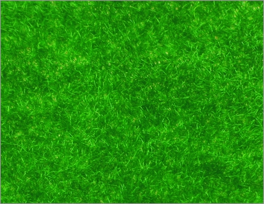 China N146 1 * 2,5 m Zug-Layouts-Modellbau Custom Material Nylon Rasen Gras fournisseur