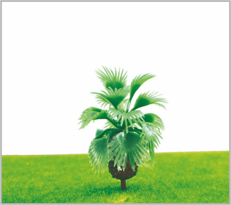 China M015 Miniatur Maßstab Modell Bäume Green Avenue Pflanzen Palmen Baum 5,5 cm fournisseur